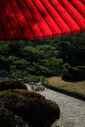 7th Jan 2025 - Red parasol in zen garden