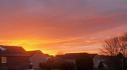 7th Jan 2025 - Over the rooftops