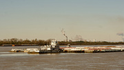 7th Jan 2025 - A cold morning on the levee