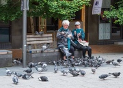 8th Jan 2025 - Pigeon Ladies