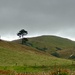 Weather by dide