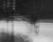 7th Jan 2025 - Echoes of a passerby