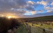 6th Jan 2025 - Sinking Sun