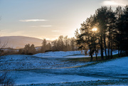 8th Jan 2025 - Wintery Scene