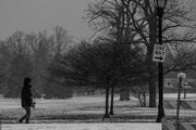 8th Jan 2025 - One Way
