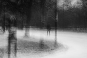 8th Jan 2025 - Walker