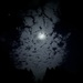 Moon and clouds