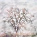 Winter Is Here 