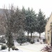 Let It Snow