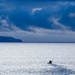 Out for a paddle by christinav