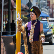 9th Jan 2025 - Wellingtonian - atypical