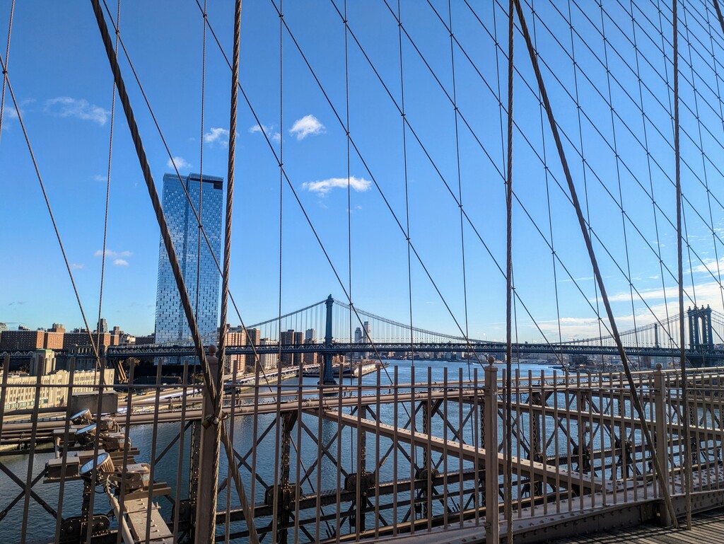 Caught in a web by zilli