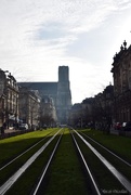 6th Jan 2025 - Reims cathedral