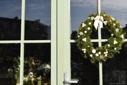 7th Jan 2025 - Florist