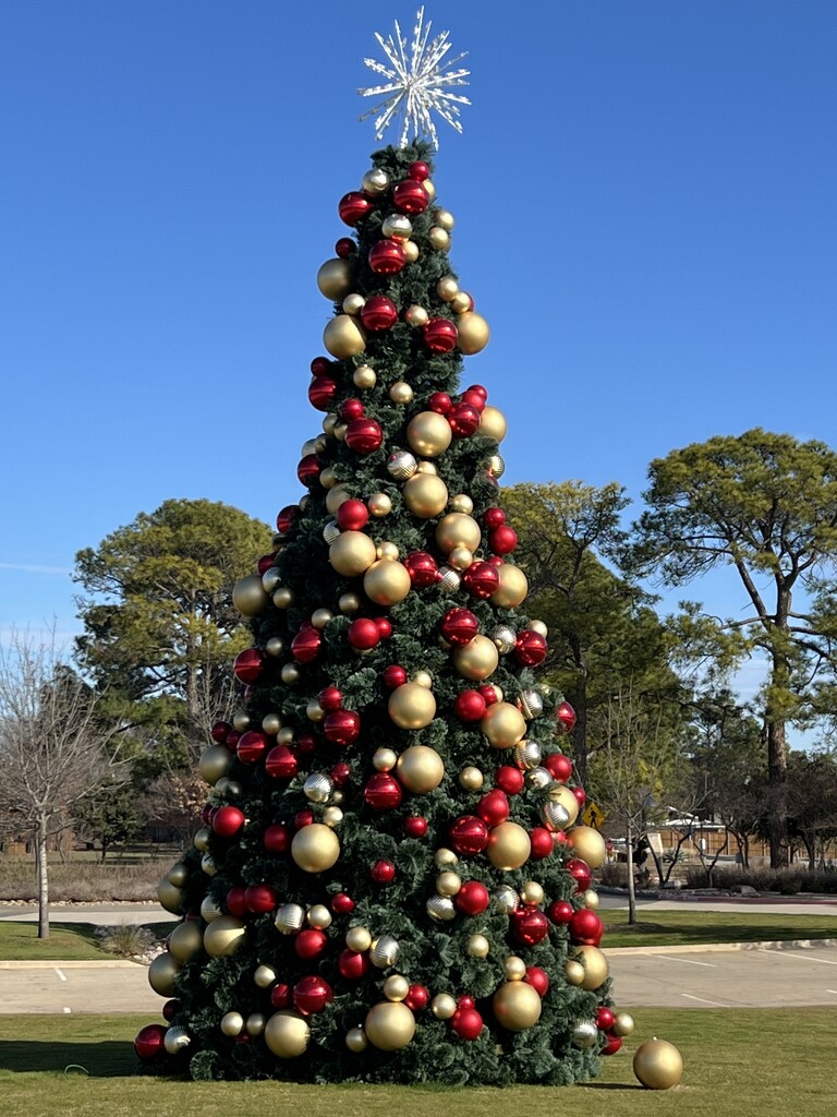 Christmas in the park in January by louannwarren