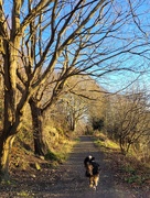 8th Jan 2025 - Winter sun