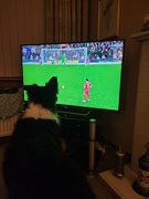 5th Jan 2025 - Front row seat!
