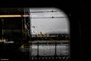 10th Jan 2025 - Through the glass darkly