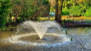 9th Jan 2025 - Park Fountain