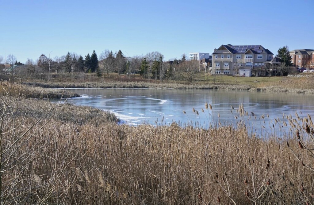 This Loop of the Pond Favours Circular Freezing Lines by gardencat