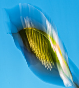 9th Jan 2025 - Vibrations in blue-3