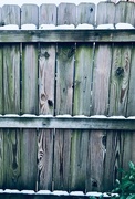 10th Jan 2025 - Decorative Snow