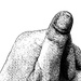 Tuesday Thumb