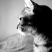 best profile?
