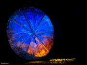 11th Jan 2025 - Luzia