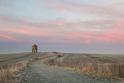 10th Jan 2025 - Chesterton