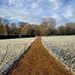 Take me home, frosty road by lizgooster