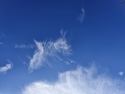 10th Jan 2025 - Blue sky #10