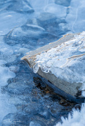 10th Jan 2025 - Ice