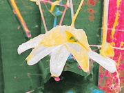 10th Jan 2025 - Brushstroke 