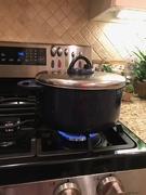 11th Jan 2025 - Boiling Water Continues