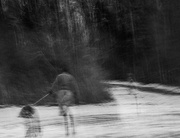 10th Jan 2025 - Walking his dog