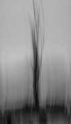 10th Jan 2025 - Black flame