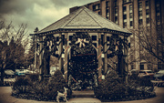 10th Jan 2025 - Gazebo