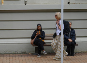11th Jan 2025 - Wellingtonians