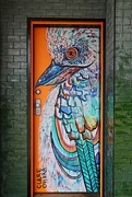 11th Jan 2025 - Kookaburra mural