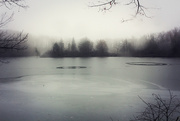 10th Jan 2025 - Lonely Lake