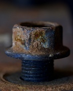 11th Jan 2025 - Just A Bit Of Rust DSC_7779