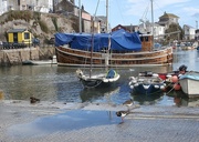 3rd Jan 2025 - Turnstones......