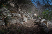 11th Jan 2025 - Boulder Trail
