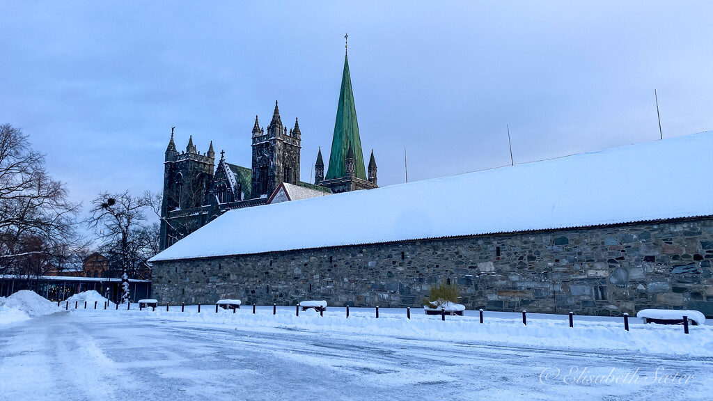 Nidaros Cathedral by elisasaeter