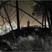 Around the block with the IR camera #1 by robz