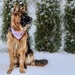 Taos and the snow by corinnec