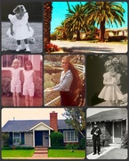 10th Jan 2025 - The House That Built Me
