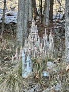 12th Jan 2025 - Small village in the woods. 