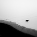 D11 Lost in the Whirling Snow by darylluk